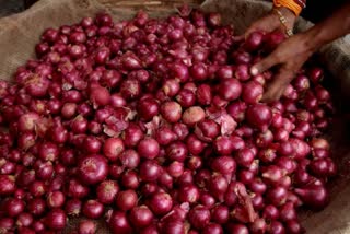 business news, onion price, disrupted arrivals of onion, कारोबार न्यूज, प्याज की कीमतें