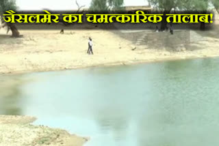 jaisalmer news, pond of jaisalmer not dry