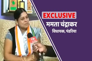 pandariya assembly mla mamta chandrakar interview with etv bharat