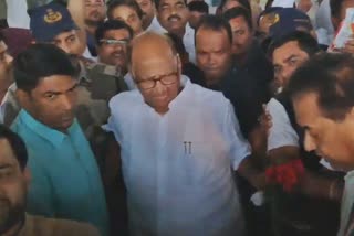 Sharad Pawar to visit vidarbha