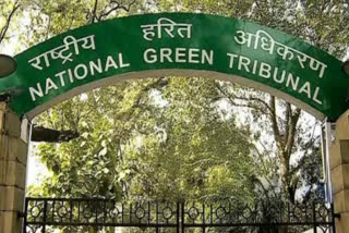 NGT directs Punjab to control pollution on Beas-Satluj