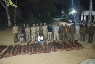 Redwood seized in Tirupattur