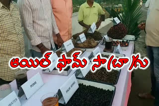 Manchiryala Farmers inspect oil farm plantations in Bhadradri kothagudem district