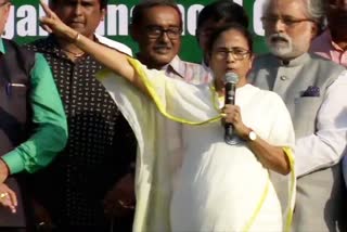 mamata