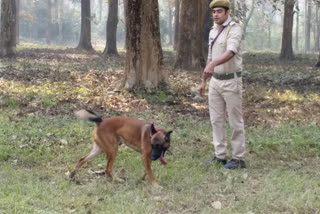 sniffer-dog-karim-will-be-rewarded