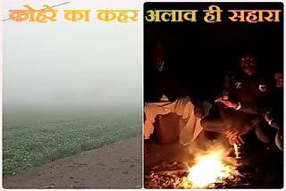 Fog in Bhopalgarh, Bhopalgarh villagers are taking support of bonfire, Bhopalgarh weather, Bhopalgarh cold, भोपालगढ़ मौसम