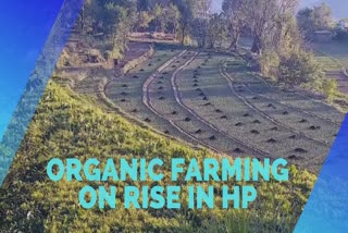 Himachal Pradesh scaling up in natural farming