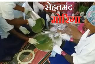 Children get relief from malnutrition with moringa powder in Surajpur