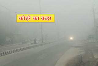 fog in delhi roads, delhi chilly winter