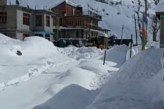 Heavy snowfall alert in upper himachal