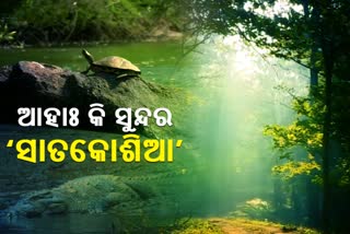 satakosia ganda, angul's satakosia, natural beauty of satakosia, ସାତକୋଶିଆର ପ୍ରାକୃତିକ ସୌନ୍ଦର୍ଯ୍ୟ, ଅନୁଗୋଳର ସାତକୋଶିଆ, ସାତକୋଶିଆ ଗଣ୍ଡ