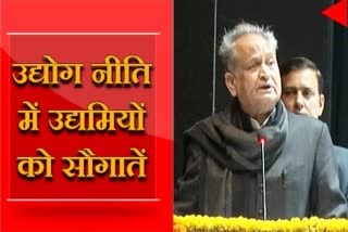 राजस्थान उद्योग नीति 2019, Rajasthan Industry Policy 2019