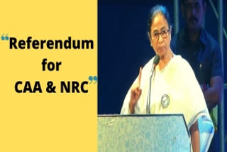 Mamata calls for UN-controlled referendum on CAA, NRC