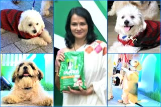 actress_amala_akkineni at iams pet ffod opening in hyderabad