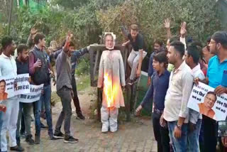 burn effigy of Raman Singh in raipur