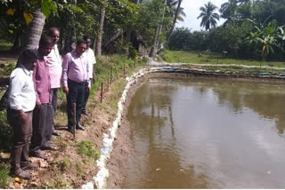 african fishes to be destroyed in Krishnagiri