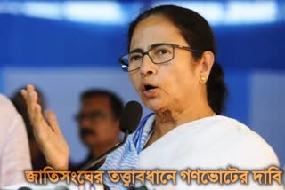 mass voting on CAA and NRC issue by UN demand Mamata Banerjee