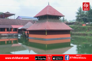 meet-babiya-the-vegetarian-crocodile-who-guards-a-temple-in-kasargod