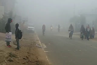 Bharatpur wrapped in fog, fog in Bharatpur, Bharatpur weather, भरतपुर मौसम, भरतपुर में कोहरा