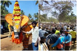 Bull race in Bhasi