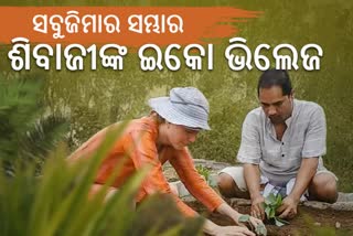 journey of shivaji panda from professor to farmer, subarnapur's shivaji panda, eco village creator shivaji panda, ଇକୋ ଭିଲେଜ ସୃଷ୍ଟିକର୍ତ୍ତା ଶିବାଜୀ ପଣ୍ଡା, ସୁବର୍ଣ୍ଣପୁରର ଶିବାଜୀ ପଣ୍ଡା, ଅଧ୍ୟାପକରୁ ଉଦ୍ୟାନ ଚାଷୀର ଶିବାଜୀଙ୍କ ଯାତ୍ରା