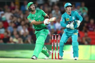 big bash league