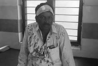 Two persons attacked and injured a TDP activist in krishna district