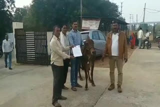 National Farmers Labor Federation Memorandum submitted  to Gau Mata