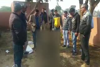 birds found dead, jhunjhunu news, सांवलोद की पहाड़ी, सिंघाना न्यूज