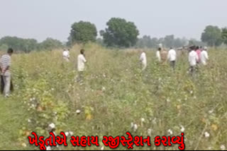 bhavnagar