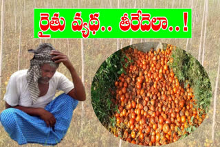 tamato farmers problems in kadapa district