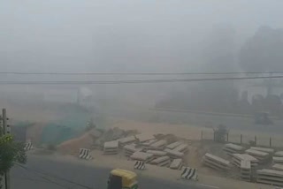 dense fog in palwal including faridabad