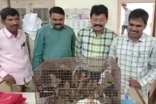 Thane Forest Department seizes wild animals for smuggling