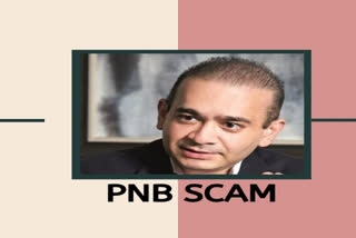 PNB scam: Nirav Modi threatened to kill company's director, CBI tells court