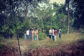 The gir body found in the well