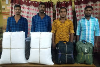 Four Persons Arrested for Ganja Smuggling