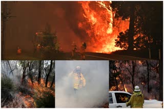 Wildfires in Australia news  Emergency will continue in South Wales news  Wildfires latest news  ഓസ്‌ട്രേലിയയില്‍ കാട്ടുതീ വാര്‍ത്ത  സൗത്ത് വെയില്‍സില്‍ അടിയന്തരാവസ്ഥ