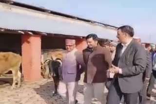 DC Kangra inaugurated cowshed in fatehpur