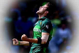 shaheen afridi accused for racist insult on journalist in press conference