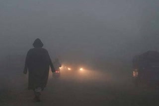 Cold and fog engulfed entire North India