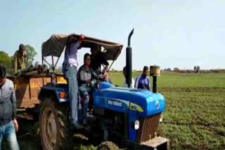 Illegal farm removed from government land