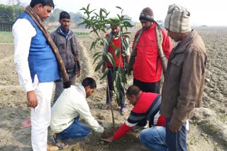 unique initiative of tree plantation and plastic ban in khagaria