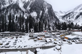 snowfall in kullu manali