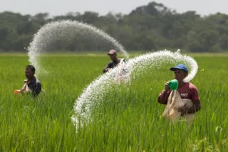 national farmers day 2019