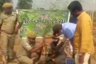 green-challenge-in-adilabad