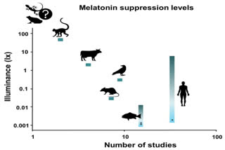 Light pollution can suppress melatonin production