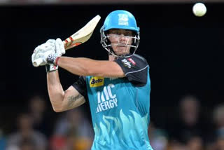 big bash league 2019 : brisbane heat chris lynn misses to score fastest ever bbl hundred scores fifty in 20 balls