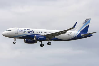 Visakha Indigo Services has been granted permission every day.