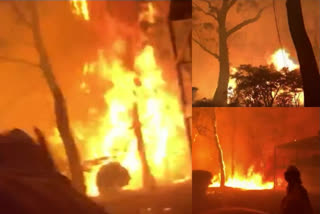 Australia is on fire every day