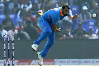 Mohammed Shami highest ODI tacker